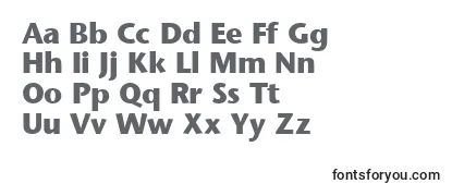 Review of the ItcStoneSansLtBold Font