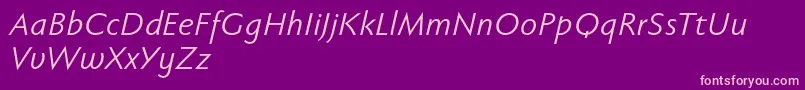 Fabersanspro56reduced Font – Pink Fonts on Purple Background