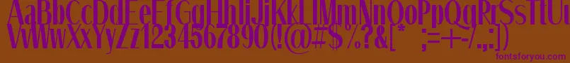 QuietStreets Font – Purple Fonts on Brown Background