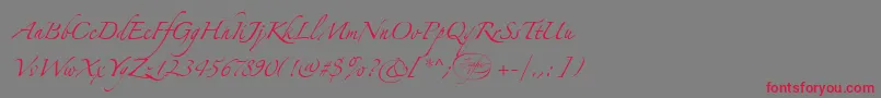 フォントLinotypezapfinoOne – 赤い文字の灰色の背景
