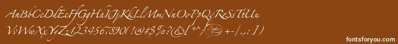 LinotypezapfinoOne Font – White Fonts on Brown Background