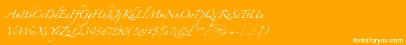 LinotypezapfinoOne Font – White Fonts on Orange Background