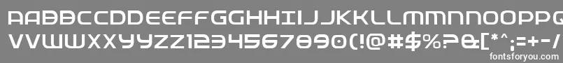 Fedservicelight Font – White Fonts on Gray Background