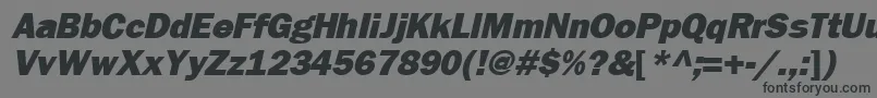 FrankfurtheavyItalic Font – Black Fonts on Gray Background