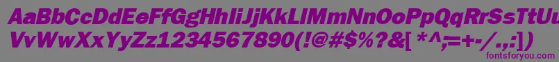FrankfurtheavyItalic-fontti – violetit fontit harmaalla taustalla