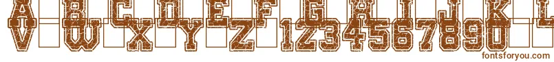 OnlyTheStrong Font – Brown Fonts on White Background