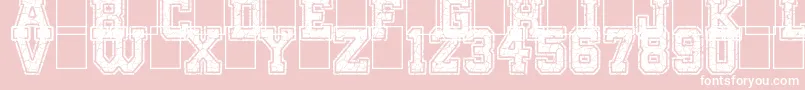 OnlyTheStrong Font – White Fonts on Pink Background
