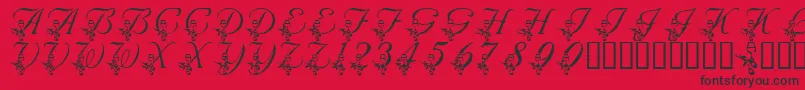 LmsAnniversaryDinner-Schriftart – Schwarze Schriften auf rotem Hintergrund