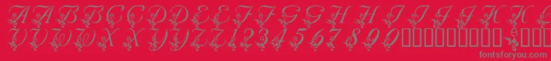 LmsAnniversaryDinner Font – Gray Fonts on Red Background