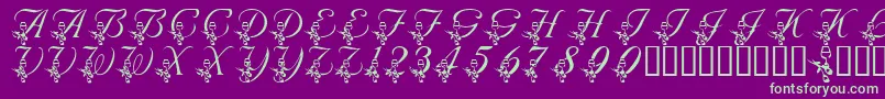 LmsAnniversaryDinner-Schriftart – Grüne Schriften auf violettem Hintergrund