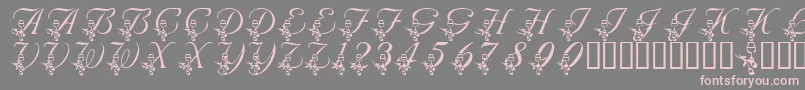 LmsAnniversaryDinner Font – Pink Fonts on Gray Background