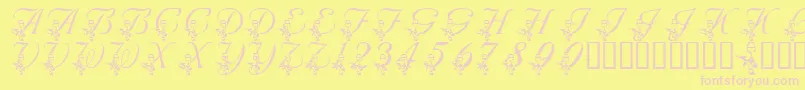 LmsAnniversaryDinner Font – Pink Fonts on Yellow Background