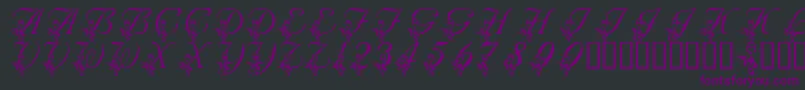 LmsAnniversaryDinner Font – Purple Fonts on Black Background