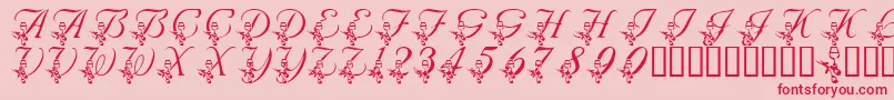 LmsAnniversaryDinner Font – Red Fonts on Pink Background