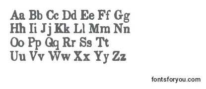 Review of the EndemicRoman Font