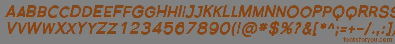 SfflorencesansscblackItali Font – Brown Fonts on Gray Background