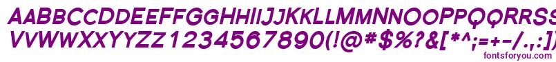 SfflorencesansscblackItali Font – Purple Fonts on White Background