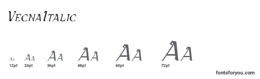 Размеры шрифта VecnaItalic