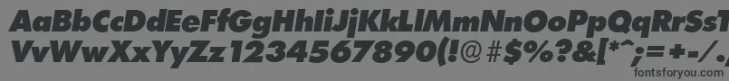 LimerickserialHeavyItalic Font – Black Fonts on Gray Background