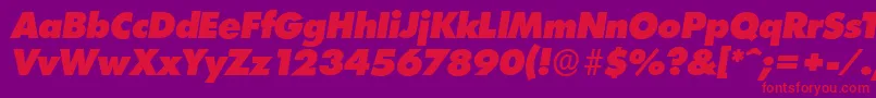 LimerickserialHeavyItalic Font – Red Fonts on Purple Background