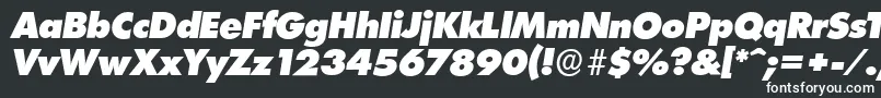 フォントLimerickserialHeavyItalic – 白い文字