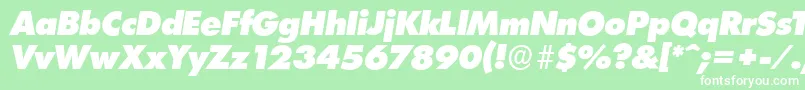 LimerickserialHeavyItalic Font – White Fonts on Green Background