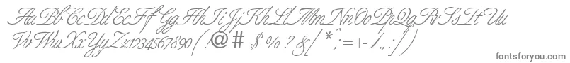 BernesescriptRegularDb-Schriftart – Graue Schriften auf weißem Hintergrund