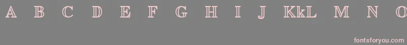 EuclidMathTwoBold-Schriftart – Rosa Schriften auf grauem Hintergrund