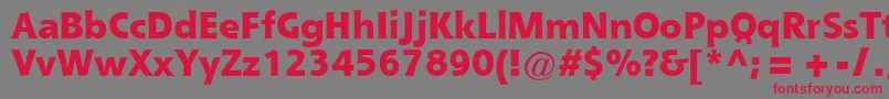 フォントQueBlackSsiExtraBold – 赤い文字の灰色の背景