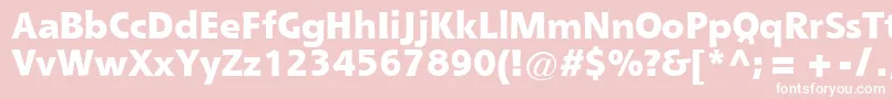 QueBlackSsiExtraBold Font – White Fonts on Pink Background