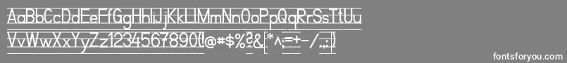 フォントSchulfibelNordLinie2 – 灰色の背景に白い文字