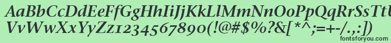 フォントStoneSerifSemOsItcttSemita – 緑の背景に黒い文字