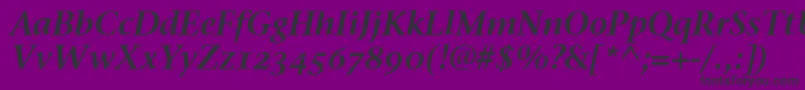 StoneSerifSemOsItcttSemita Font – Black Fonts on Purple Background