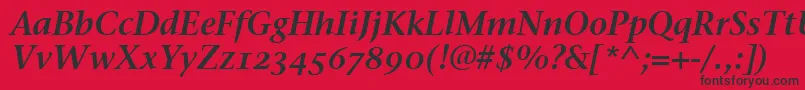 StoneSerifSemOsItcttSemita Font – Black Fonts on Red Background