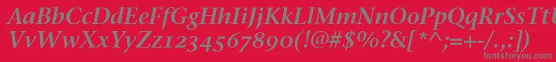 StoneSerifSemOsItcttSemita-Schriftart – Graue Schriften auf rotem Hintergrund