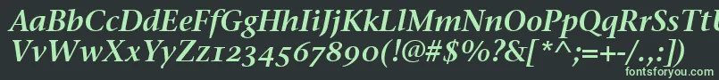 Шрифт StoneSerifSemOsItcttSemita – зелёные шрифты на чёрном фоне