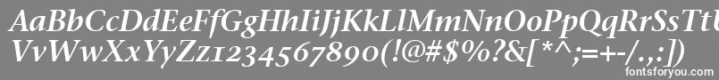 フォントStoneSerifSemOsItcttSemita – 灰色の背景に白い文字