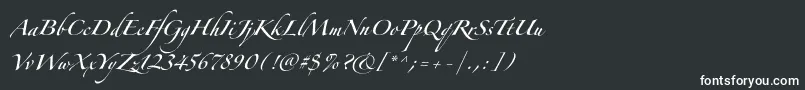Шрифт ZapfinoforteltOne – белые шрифты