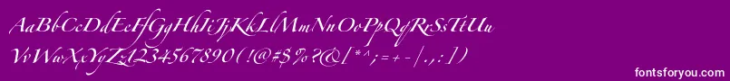 ZapfinoforteltOne-Schriftart – Weiße Schriften auf violettem Hintergrund