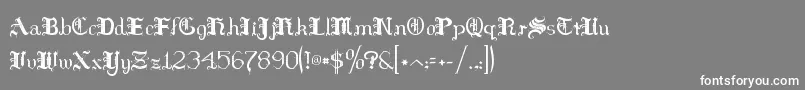 フォントHilds – 灰色の背景に白い文字