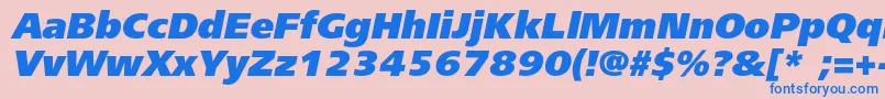 FreesetblackcItalic Font – Blue Fonts on Pink Background