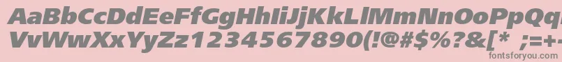 FreesetblackcItalic Font – Gray Fonts on Pink Background