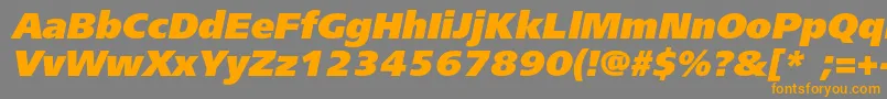 FreesetblackcItalic Font – Orange Fonts on Gray Background