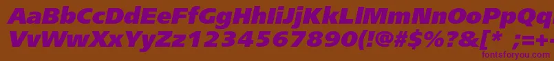 FreesetblackcItalic Font – Purple Fonts on Brown Background