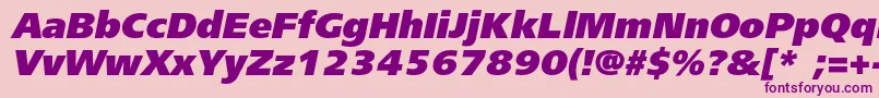 FreesetblackcItalic Font – Purple Fonts on Pink Background