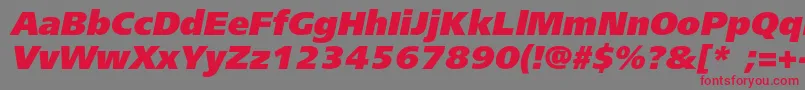 FreesetblackcItalic Font – Red Fonts on Gray Background