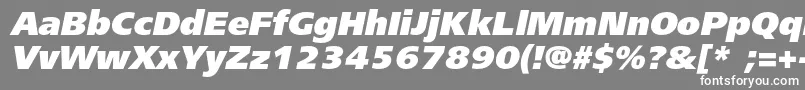 フォントFreesetblackcItalic – 灰色の背景に白い文字