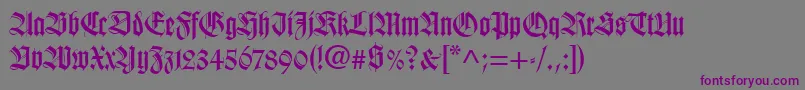 WilhelmKlingsporGotischLt Font – Purple Fonts on Gray Background