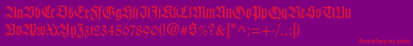 WilhelmKlingsporGotischLt Font – Red Fonts on Purple Background