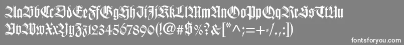 WilhelmKlingsporGotischLt Font – White Fonts on Gray Background